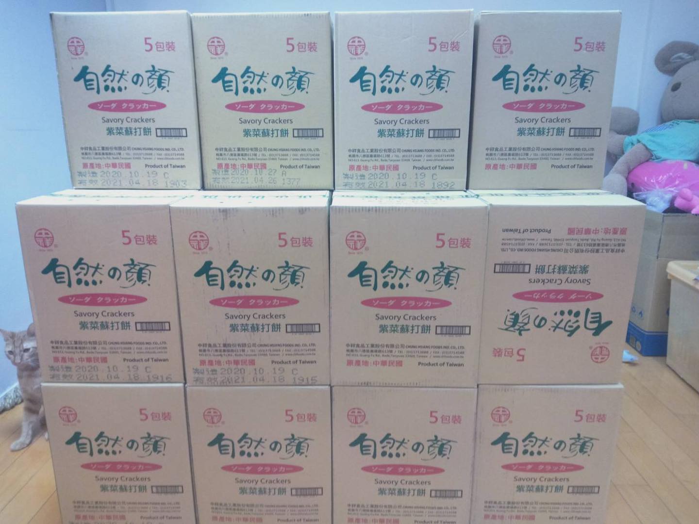 食物銀行進貨日常～(標題圖檔)