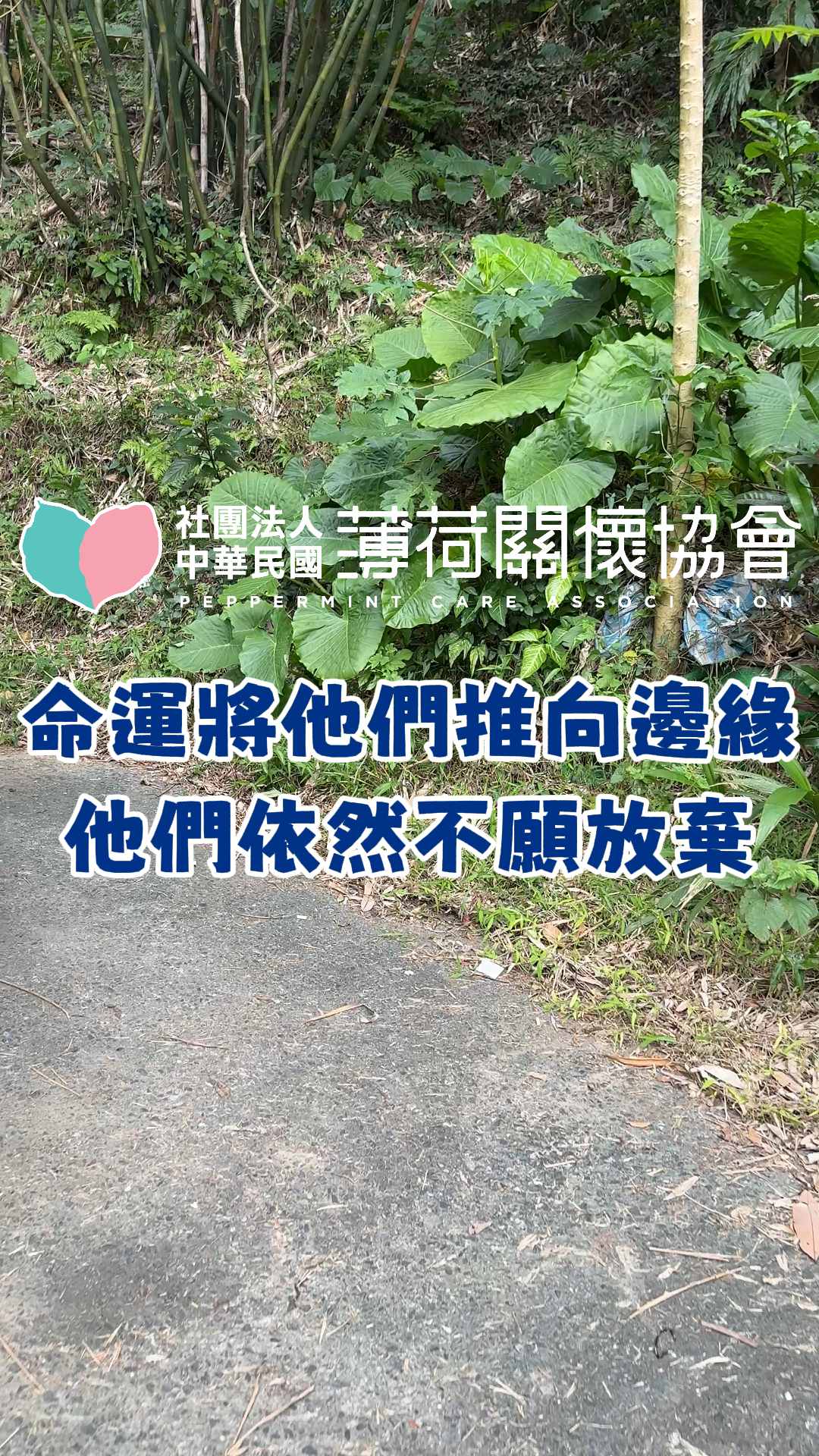 🪐命運將他們推向邊緣，他們依然不願放棄🪐(標題圖檔)