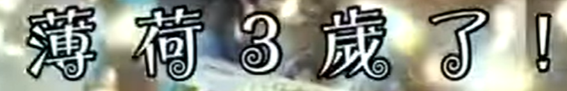 薄荷關懷協會三歲了！！感恩有您~(標題圖檔)