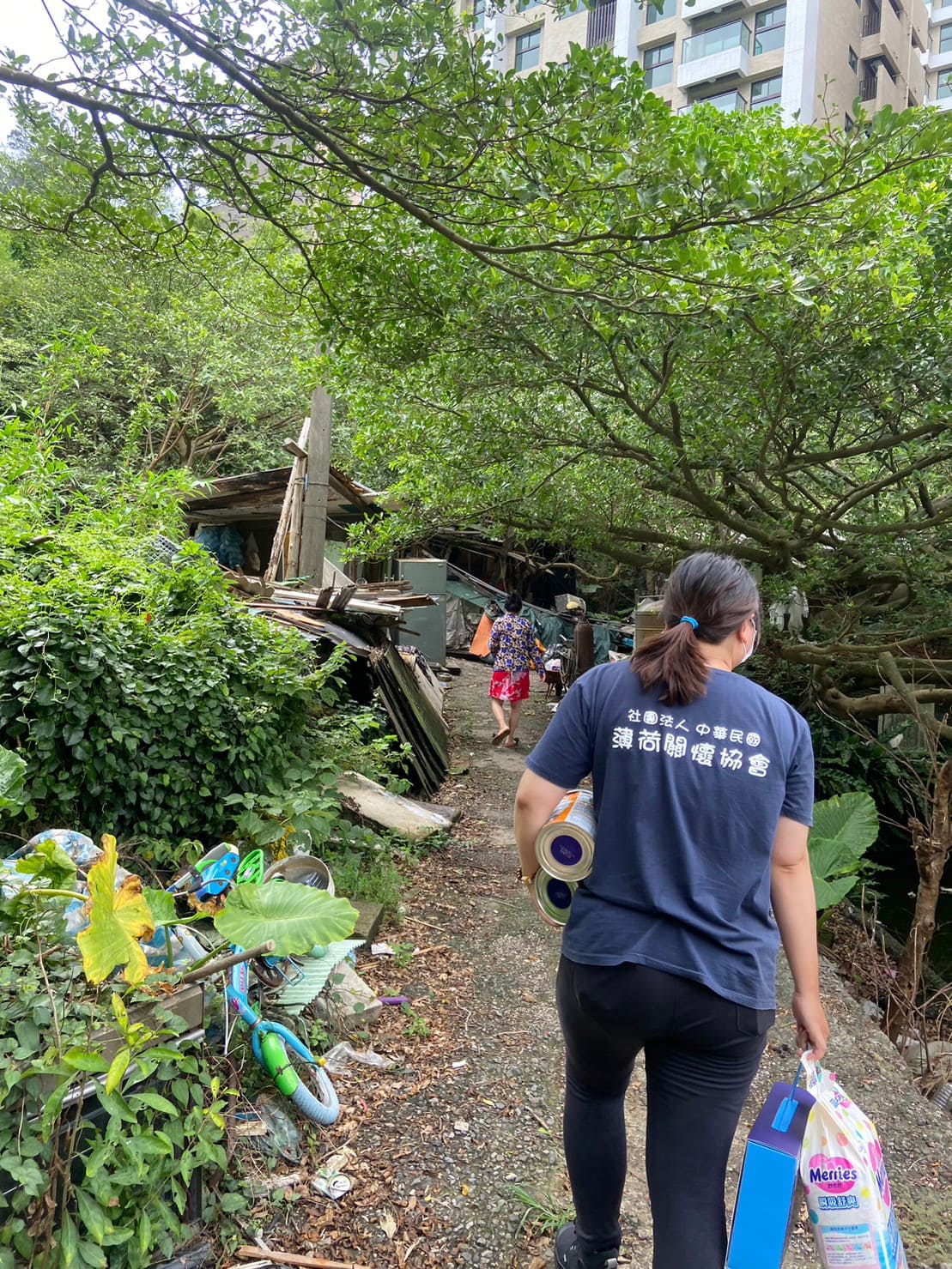 🖼️山邊的生活🖼️(標題圖檔)