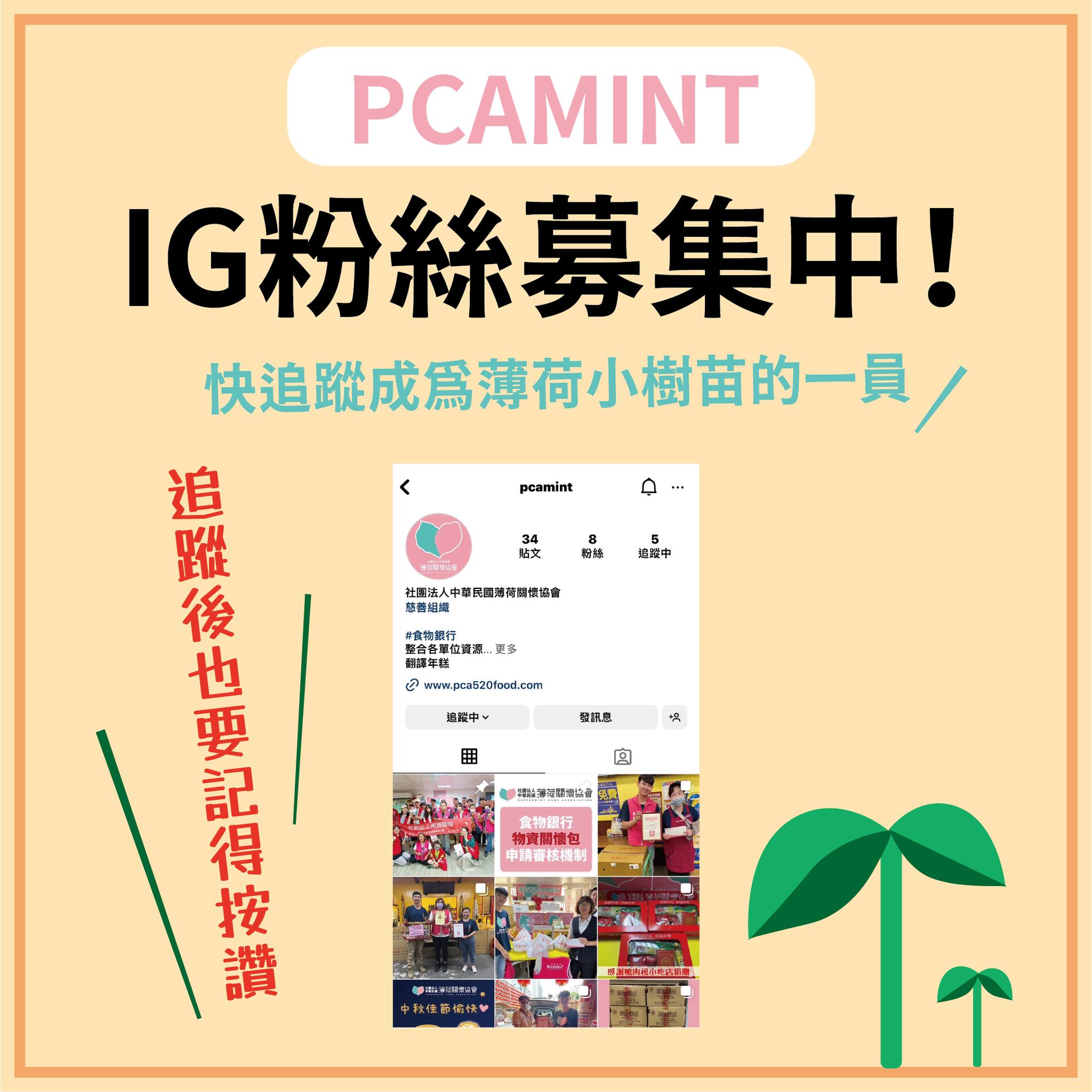 🌟薄荷關懷協會 IG 登場啦🌟(標題圖檔)