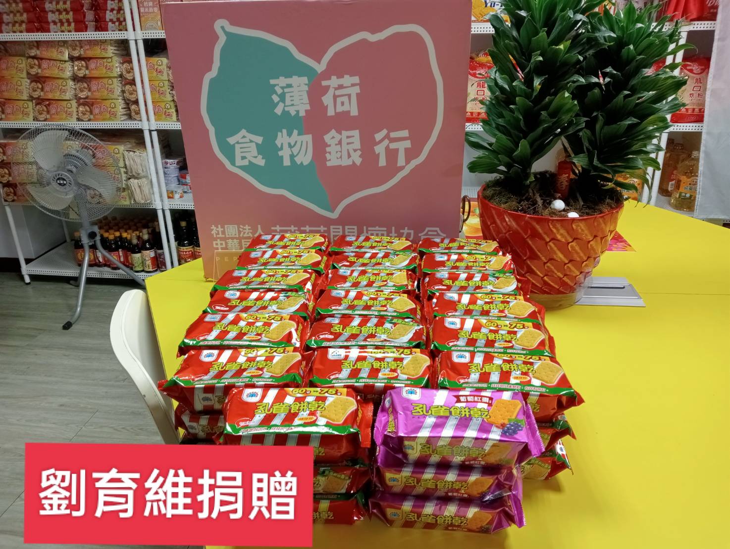 陪著薄荷付出的天使(標題圖檔)